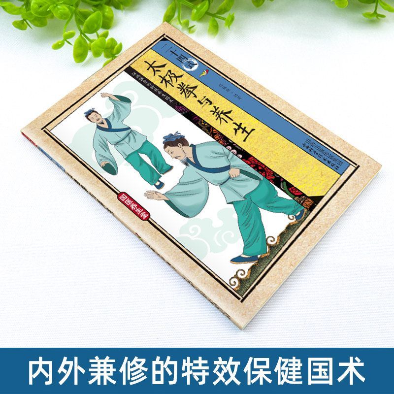 24 Style Tai Chi i ćwiczenia z – Health & Wellness Website recenzja i cena